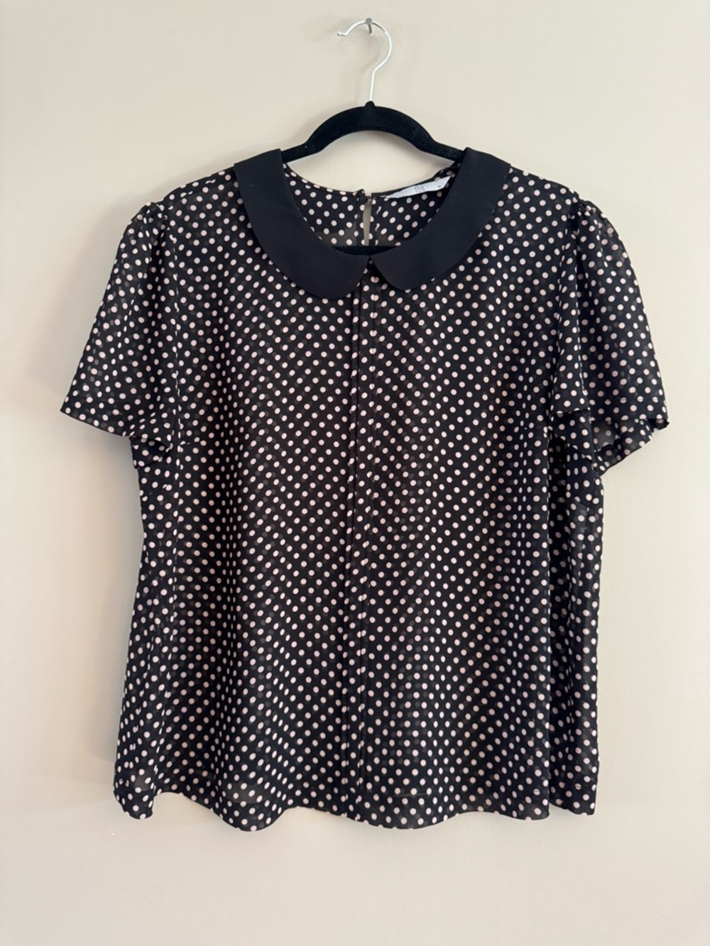 TU Blush Polka Dot sheer with black Peter Pan Collar Top Women's Blouse size 16